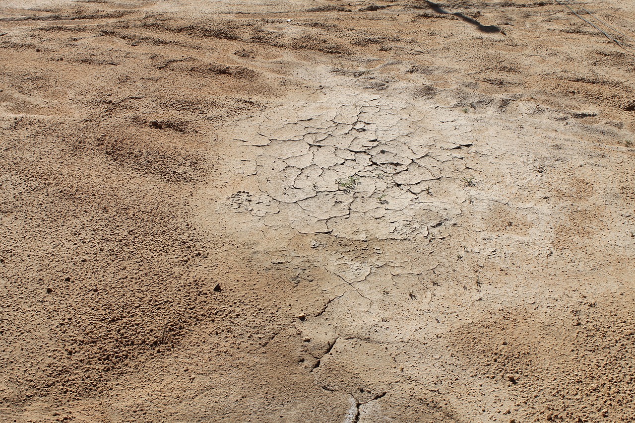 desert  dry  sand free photo