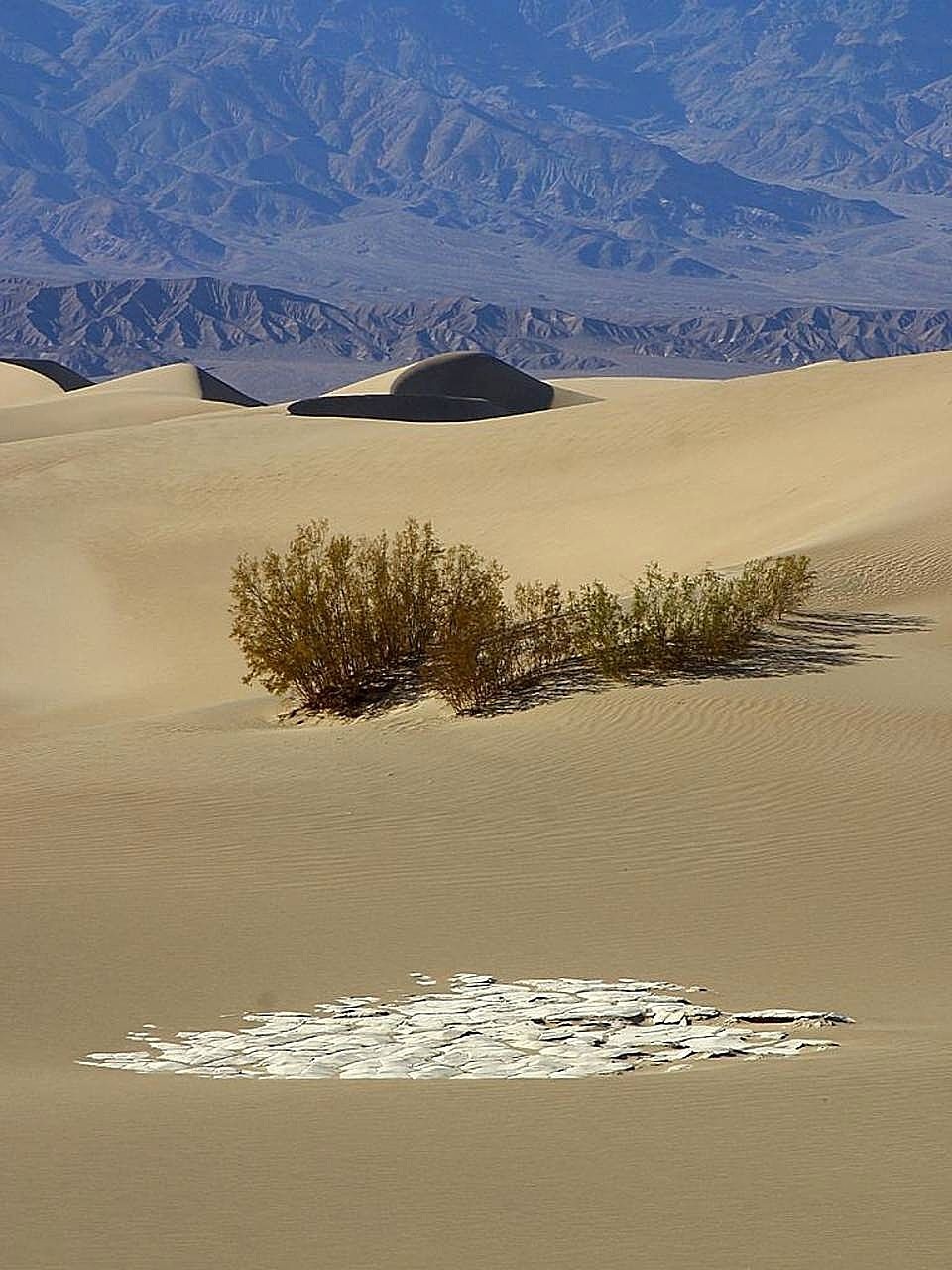 desert dunes sand free photo