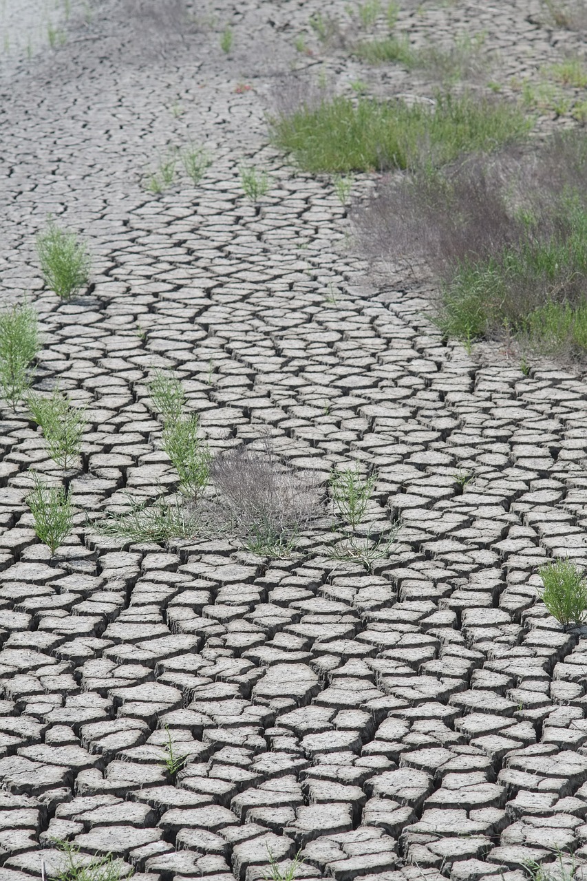 desert cracked dry free photo