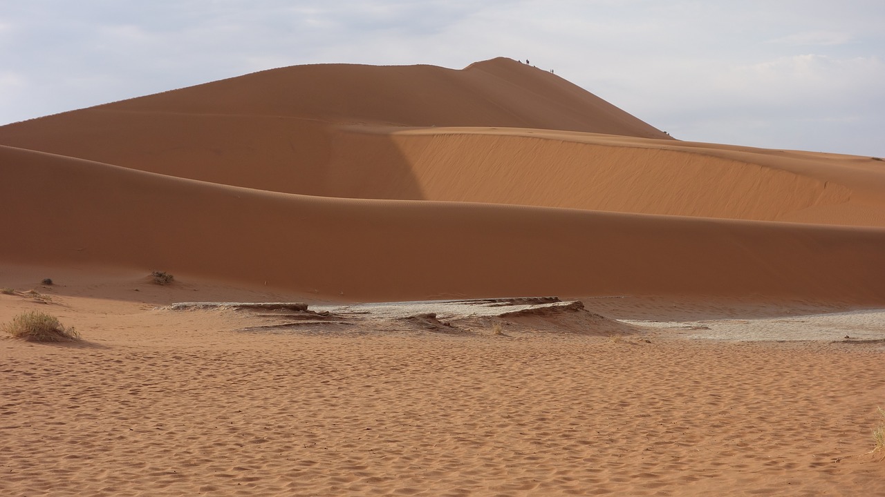 desert  namib  sand free photo