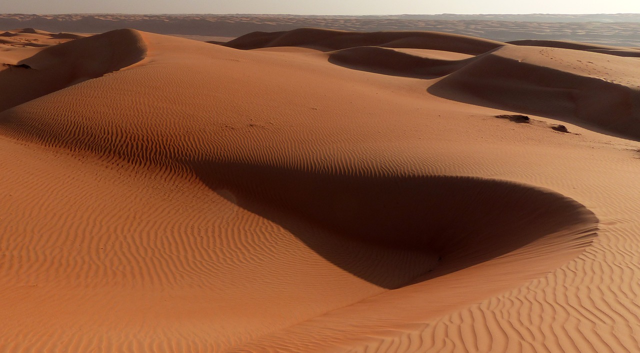 desert  dune  dunes free photo