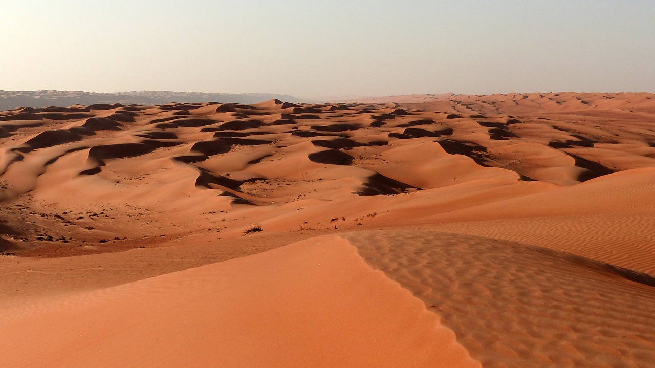 desert  dune  dunes free photo