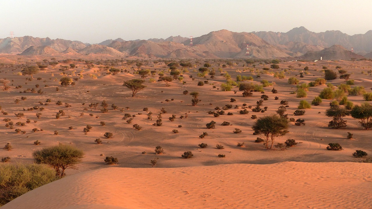 desert  arid  oman free photo