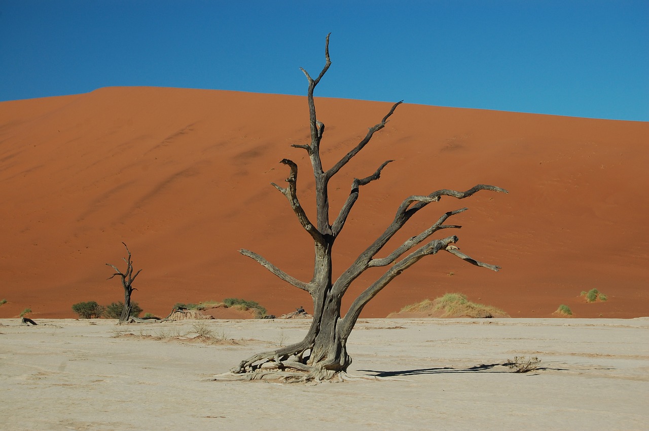 desert  drought  sand free photo