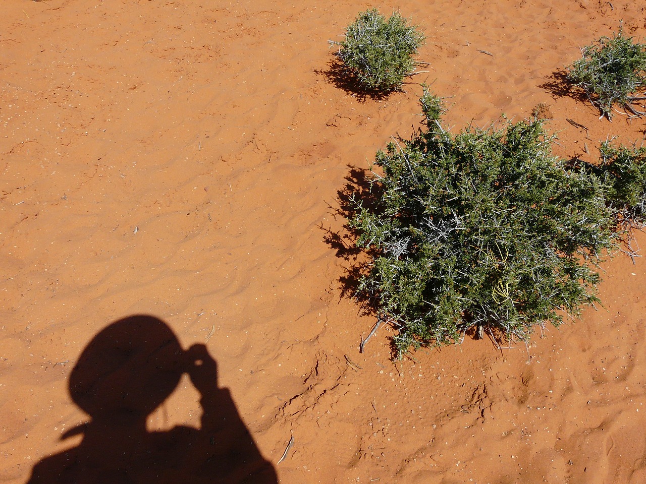 desert sand shadow free photo