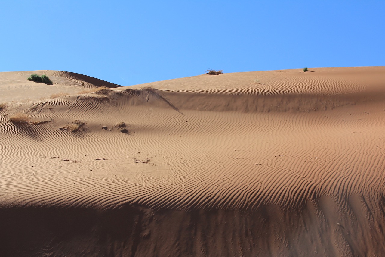 desert  sand dune  dry free photo