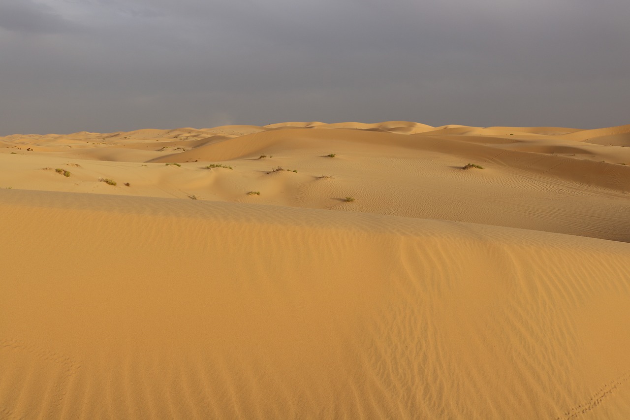 desert  nature  sand free photo