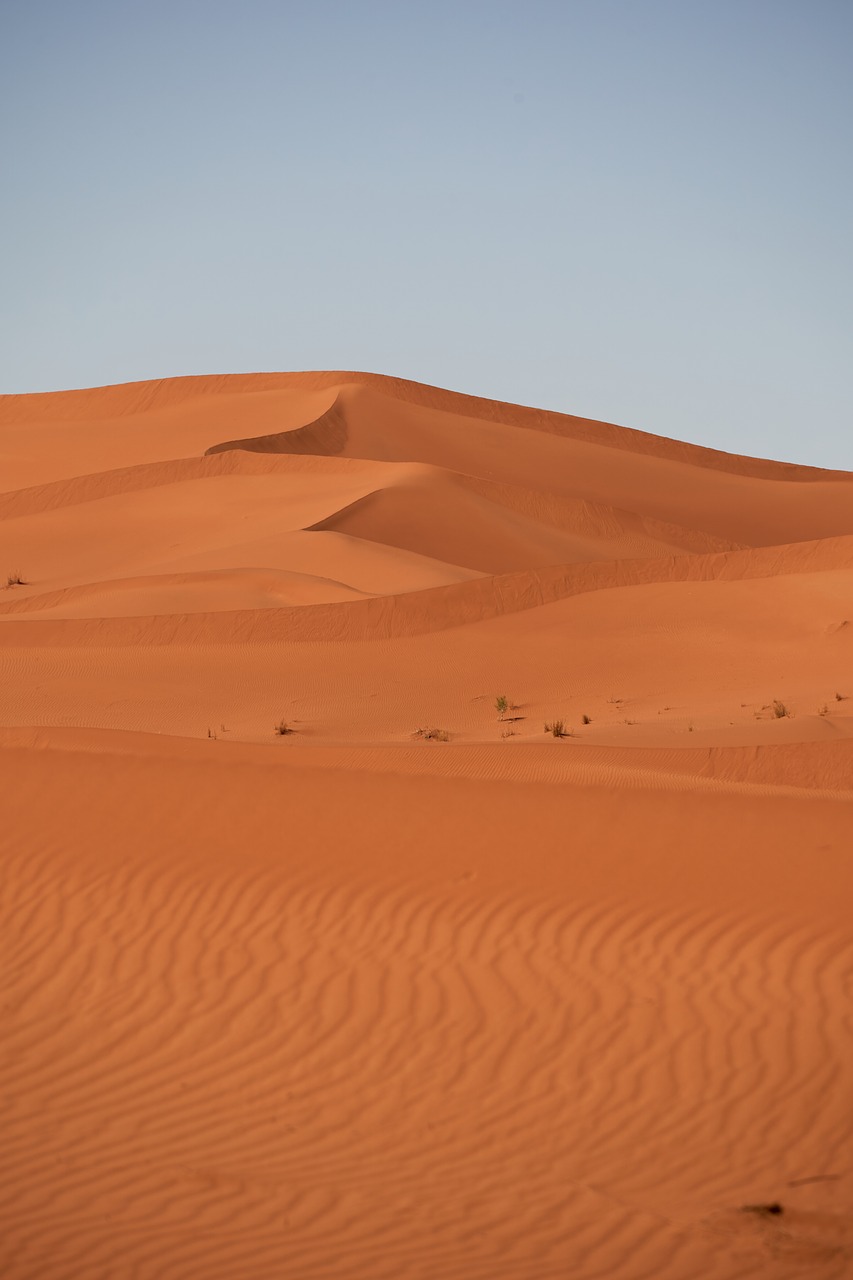 desert  sahara  sand free photo