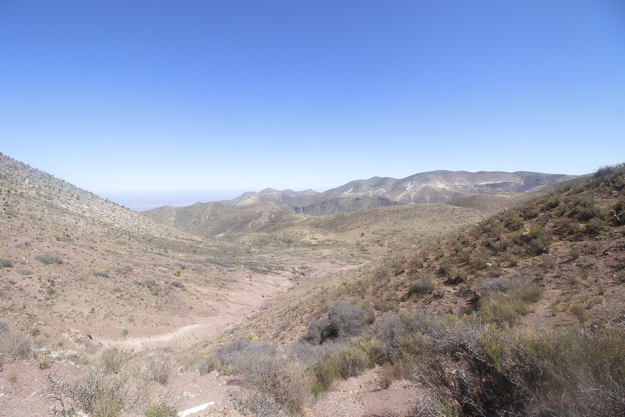 desert  mexico  sand free photo