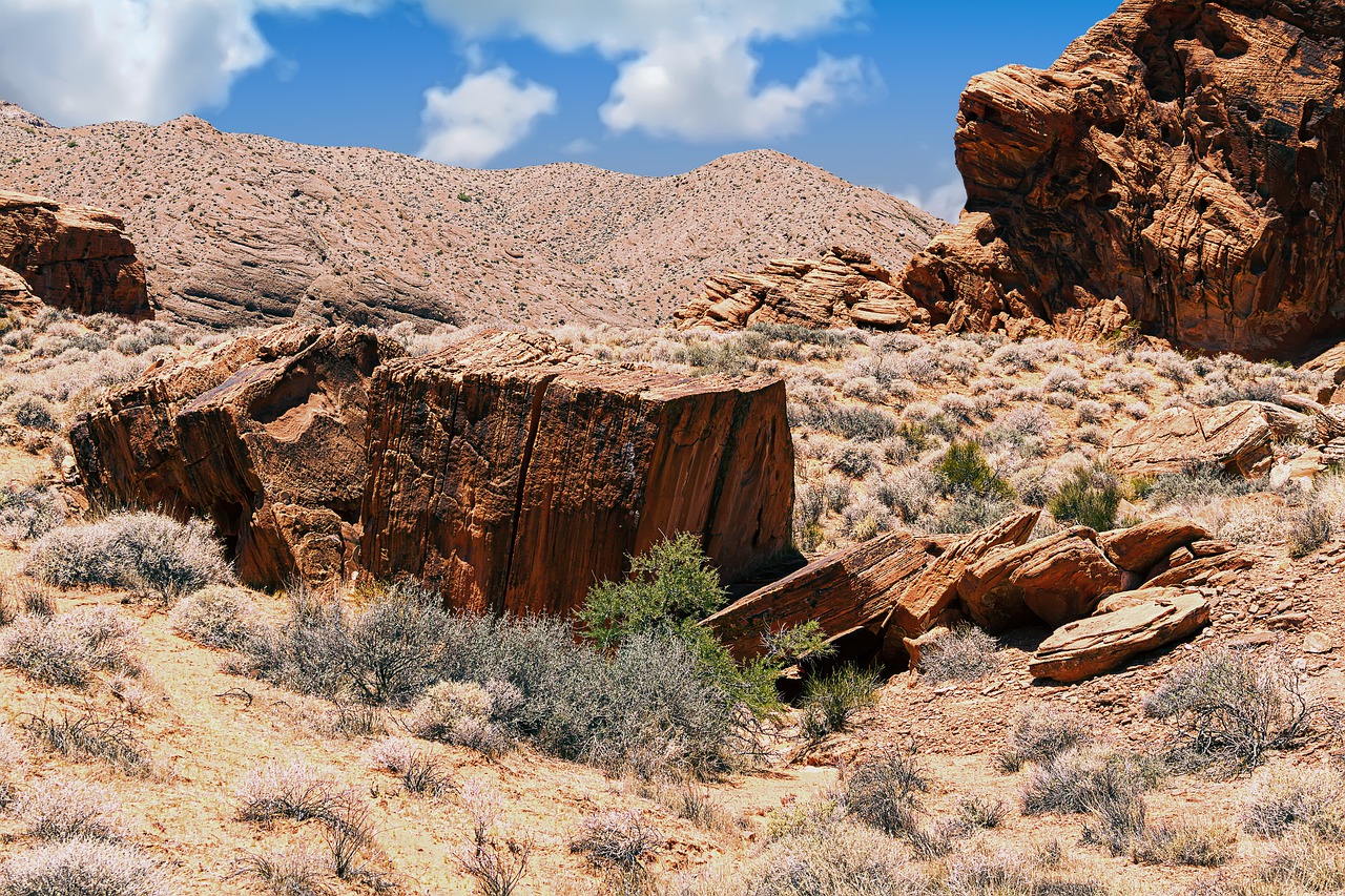 desert  rock  landscape free photo