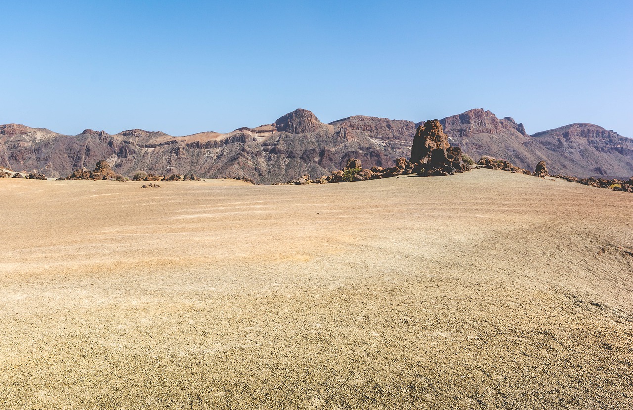 desert  sand  dry free photo