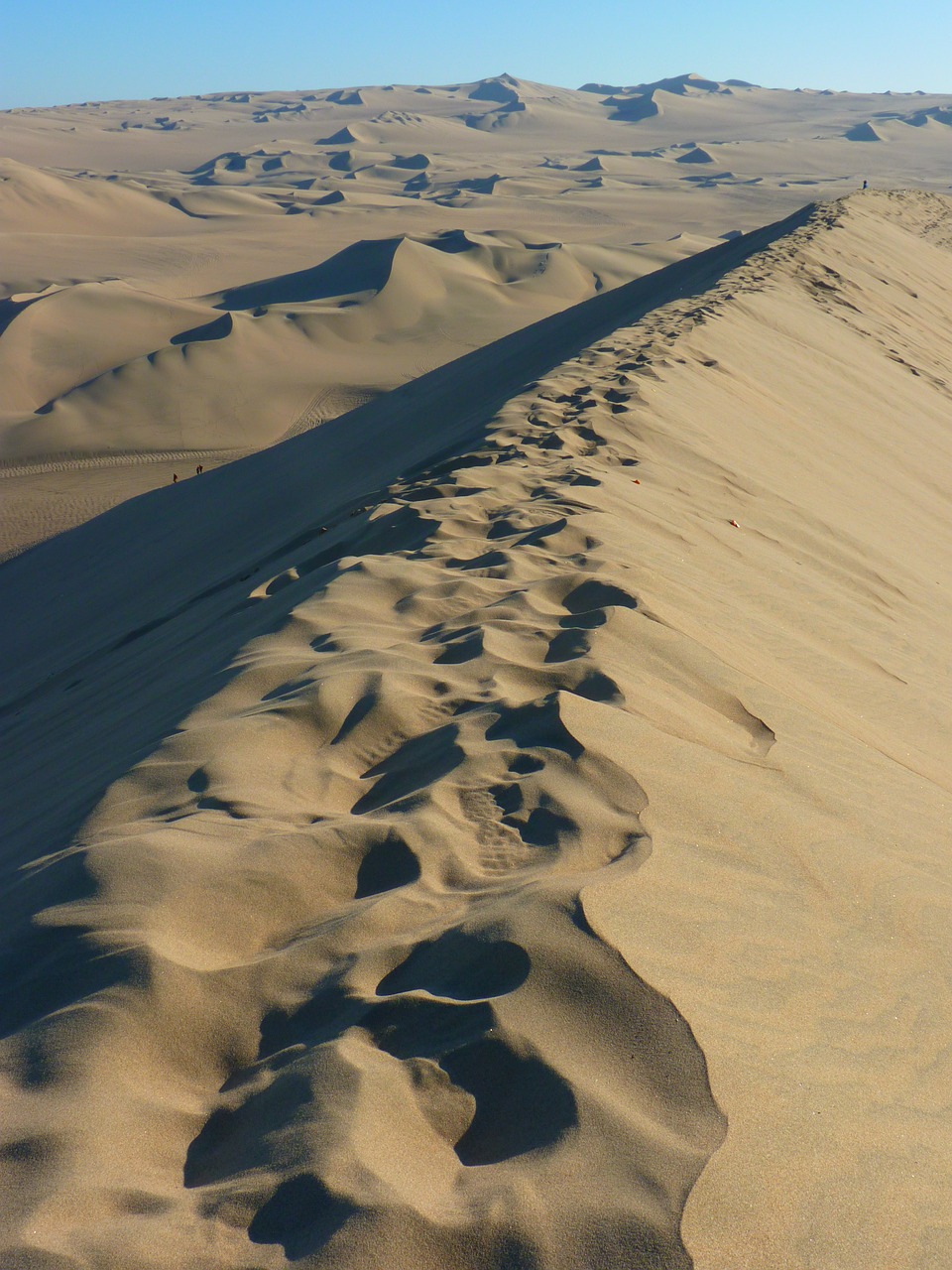 desert dunes dune ridge free photo