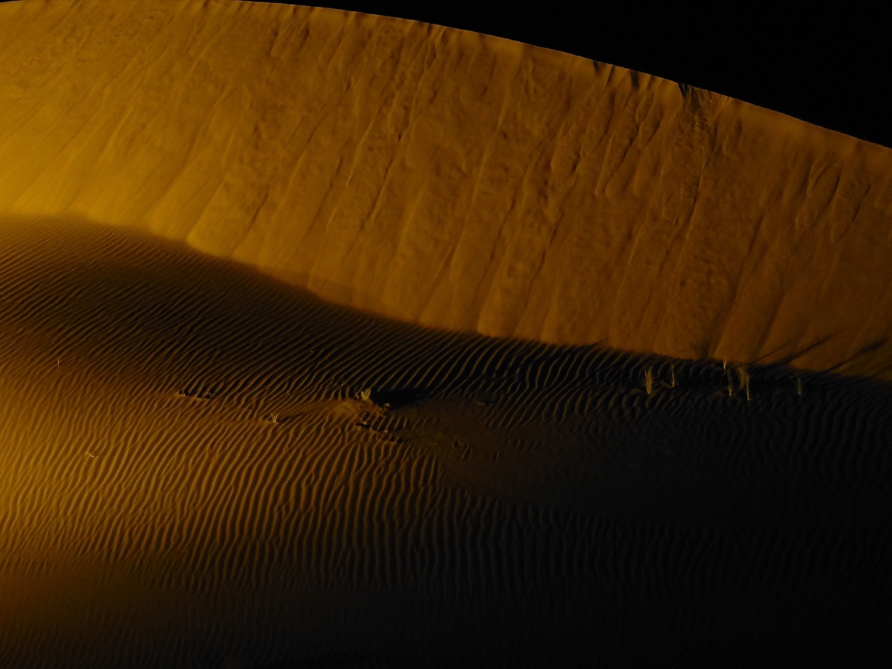 desert sand emirates free photo