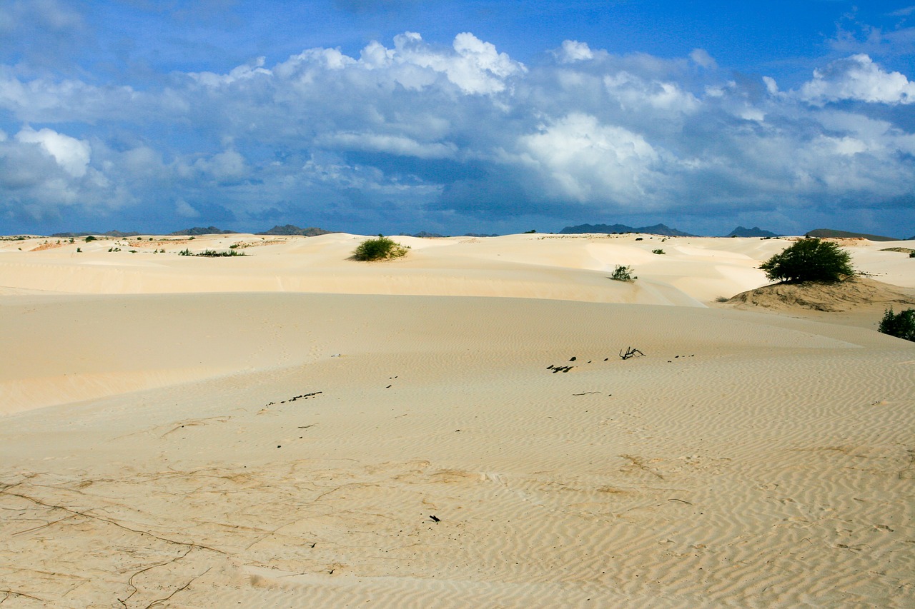 desert sand boa vista free photo