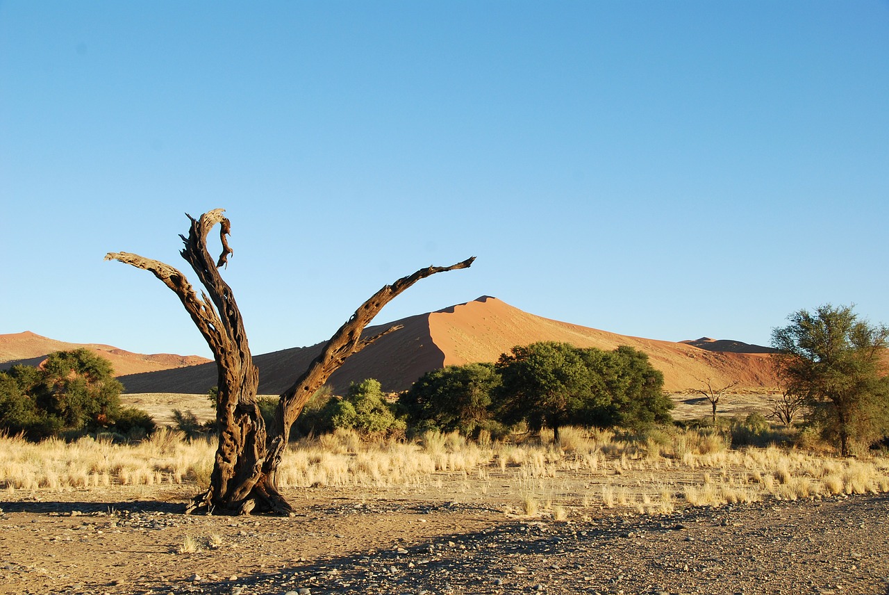 desert dune namibia free photo