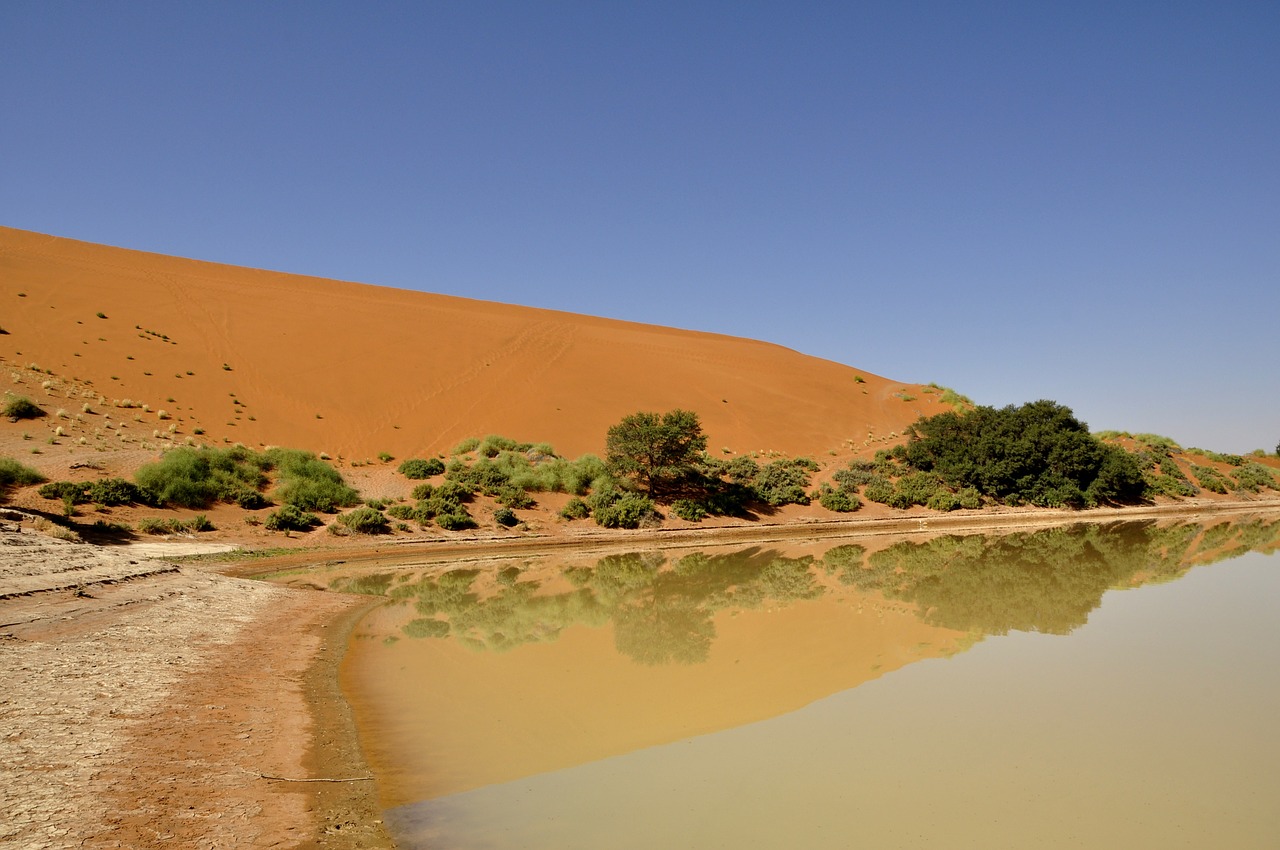 desert dune water free photo