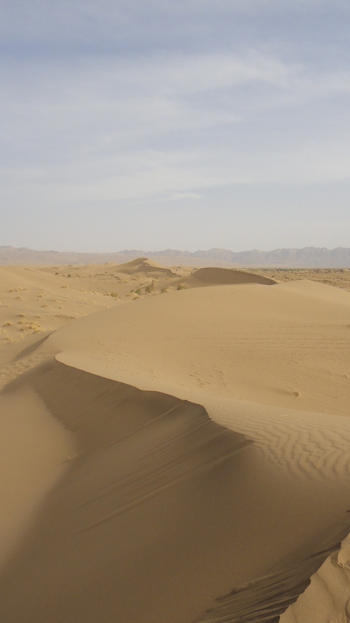 desert dune sand free photo