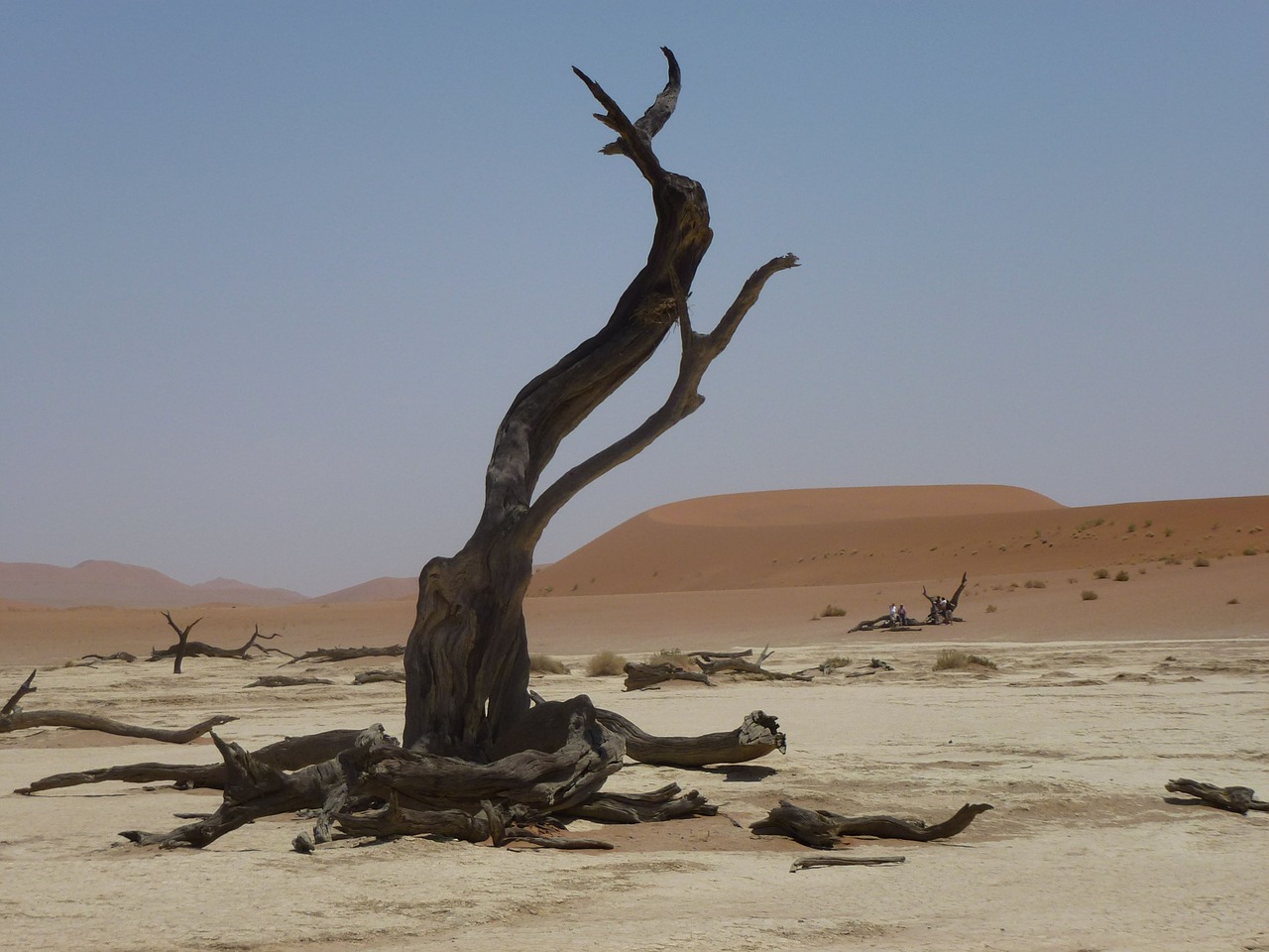desert namibia landscape free photo