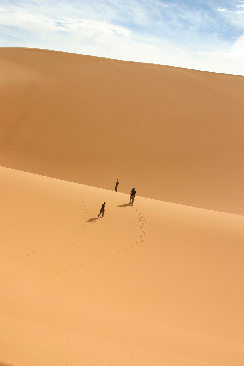 desert sahara duna free photo