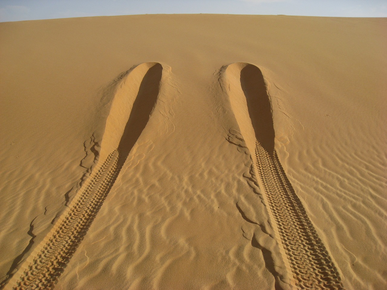 desert sand sahara free photo