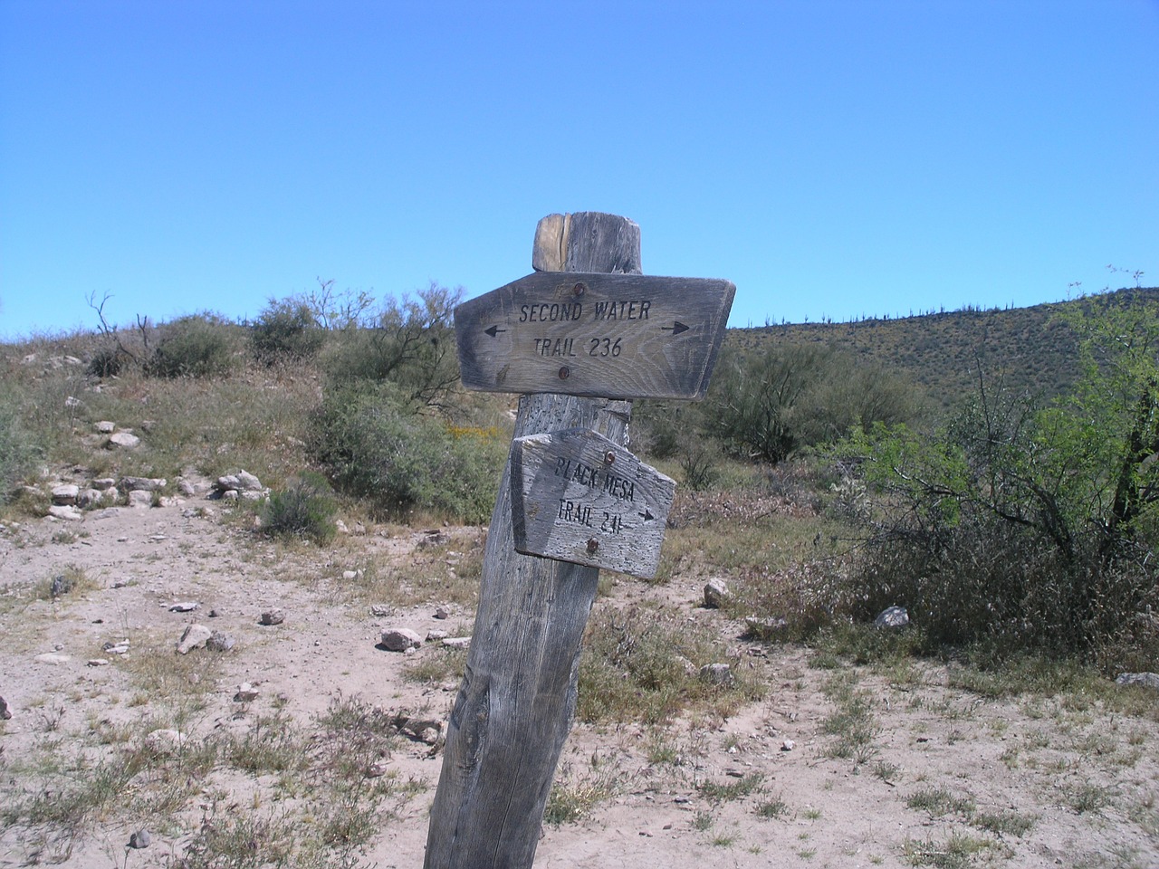 desert sign arizona free photo