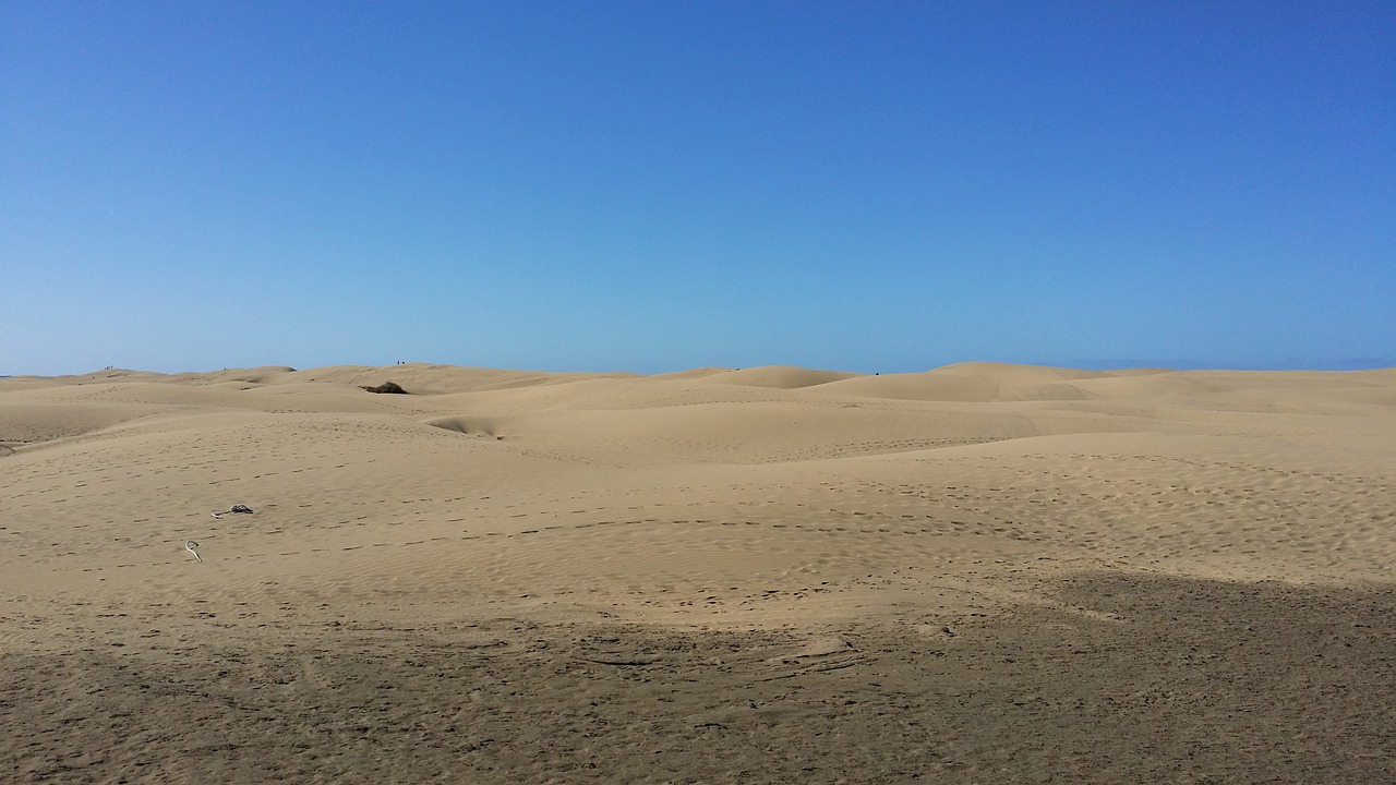 desert dune sand free photo