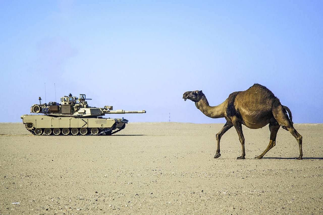 desert camel tank free photo