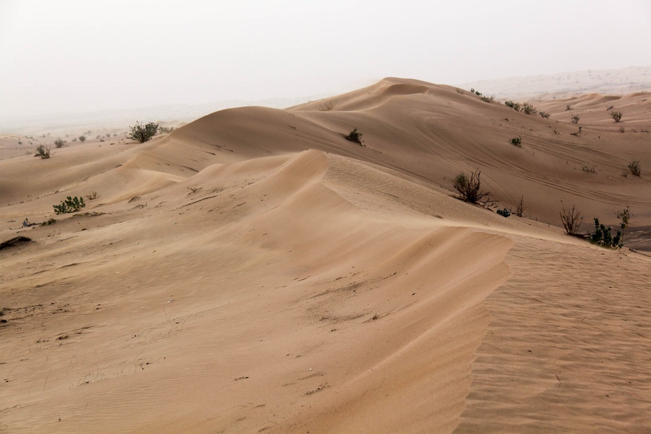 desert sand thin free photo