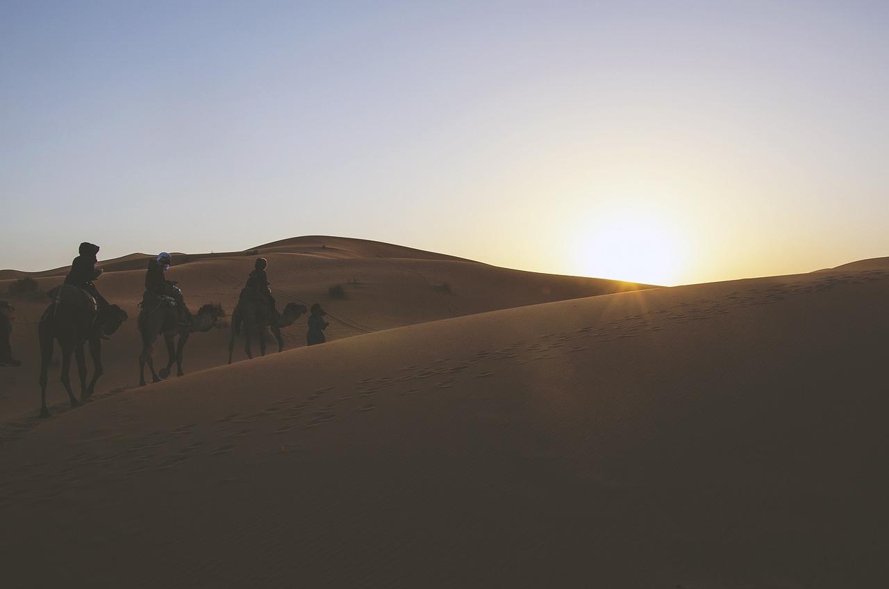 desert dunes camels free photo