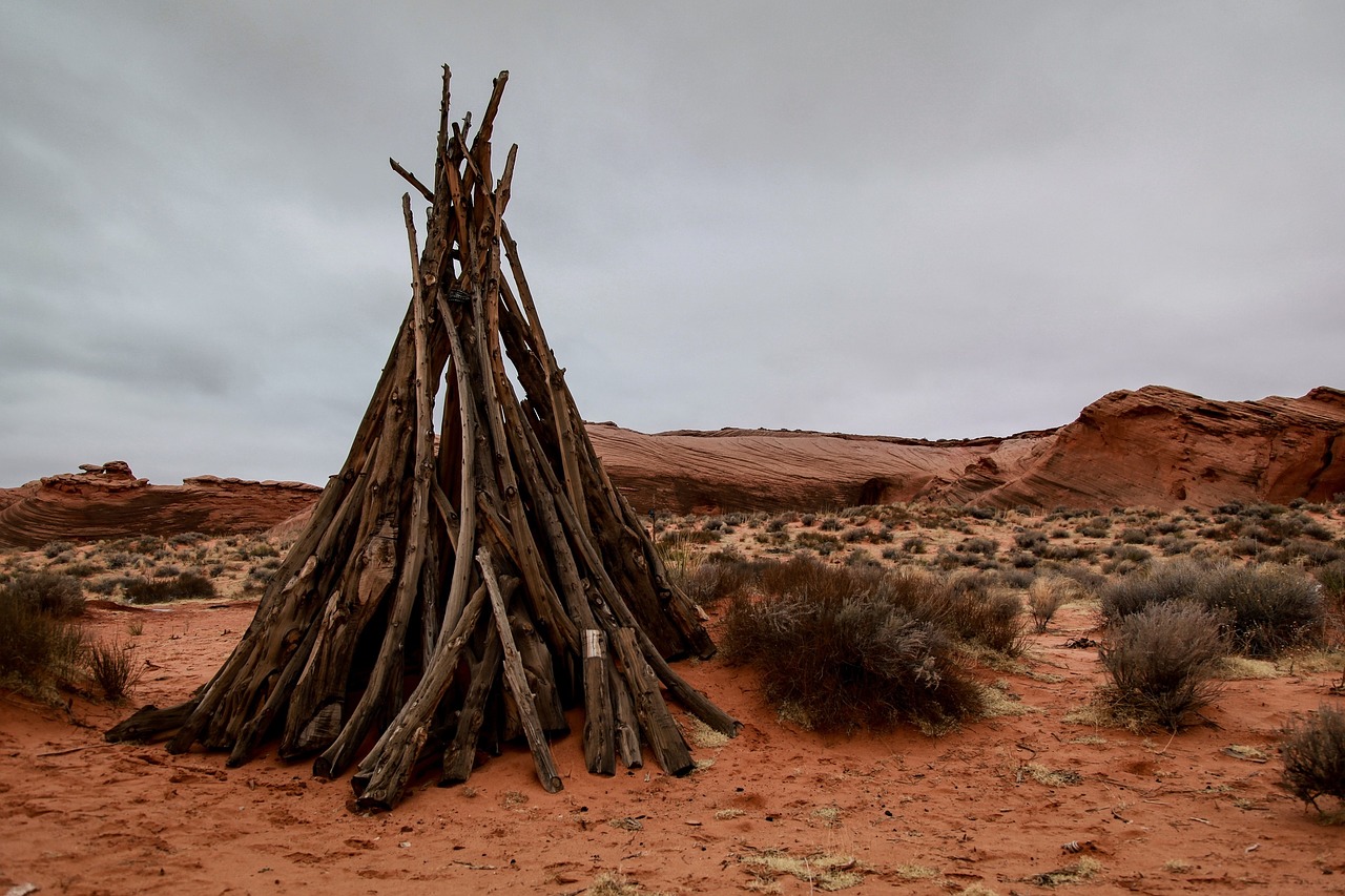 desert red wood free photo