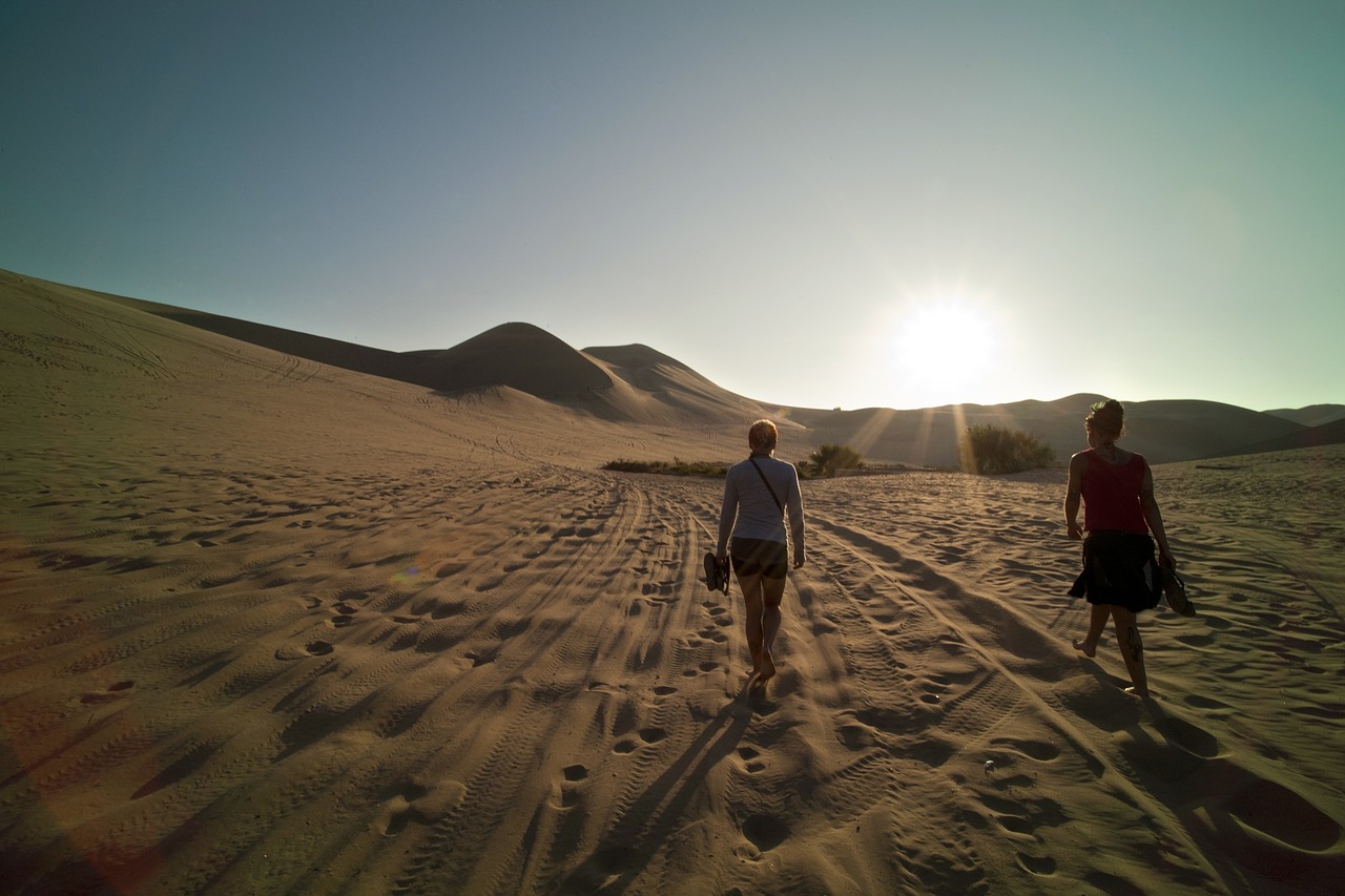 desert sand dunes free photo