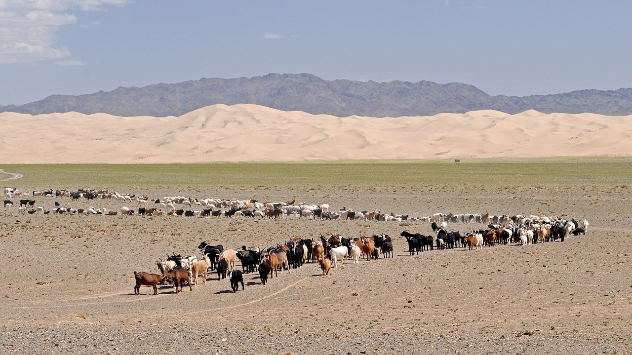desert gobi mongolia free photo