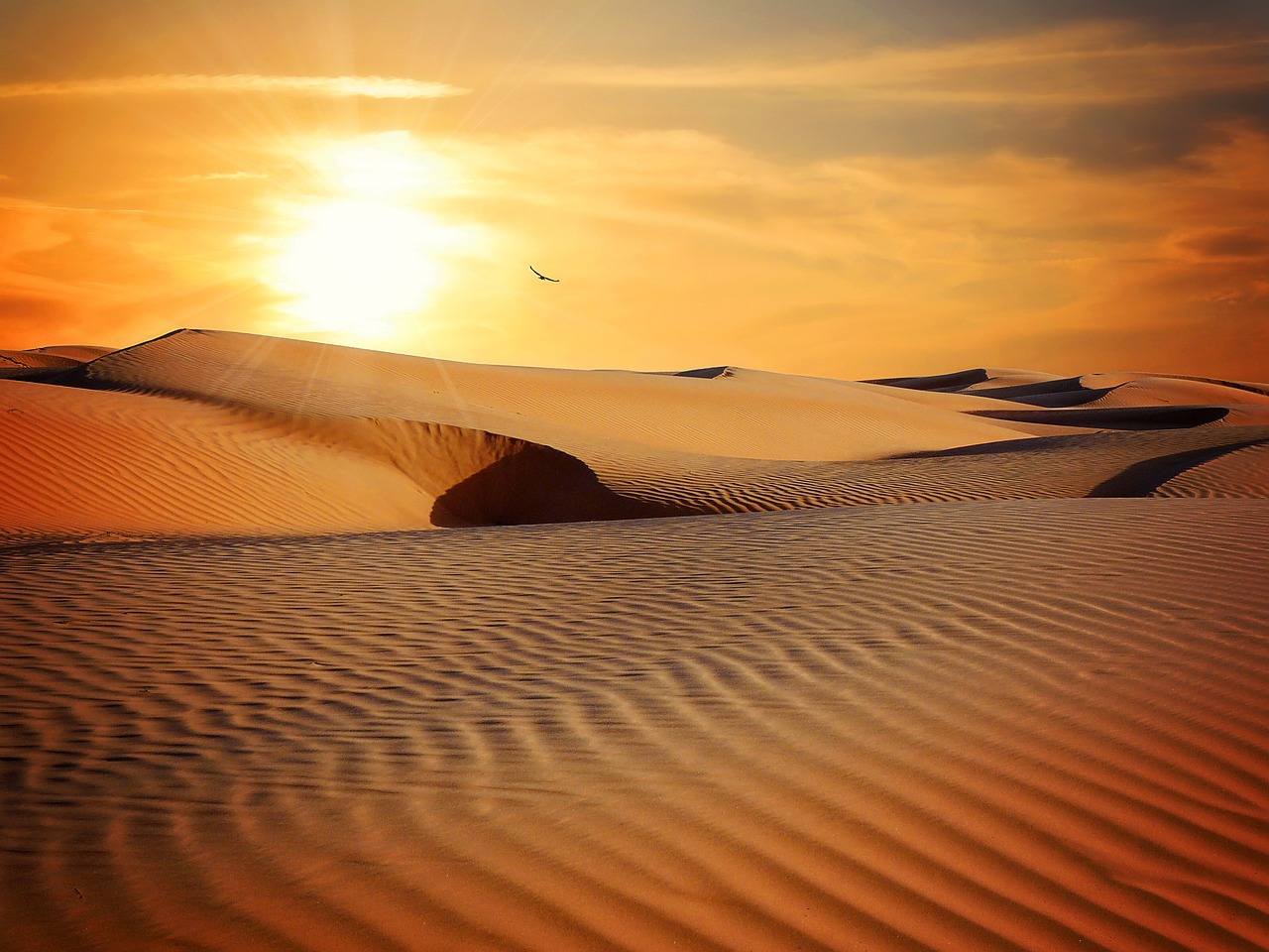 desert sand landscape free photo