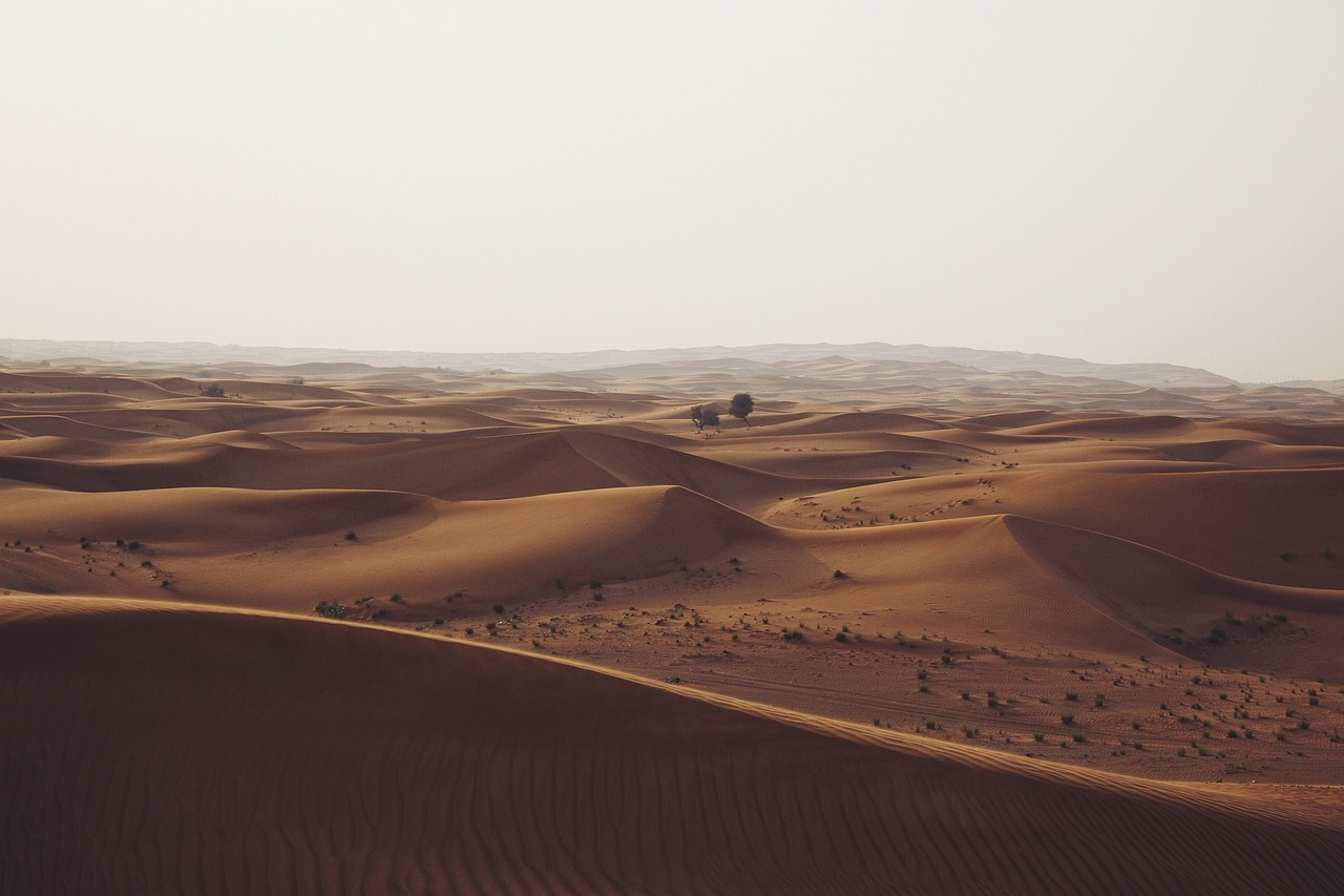desert sand dunes sand free photo
