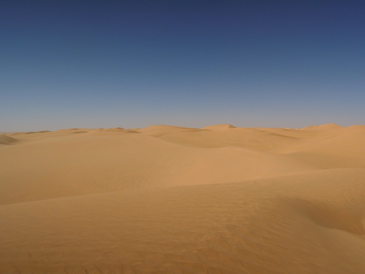 desert sand algeria free photo