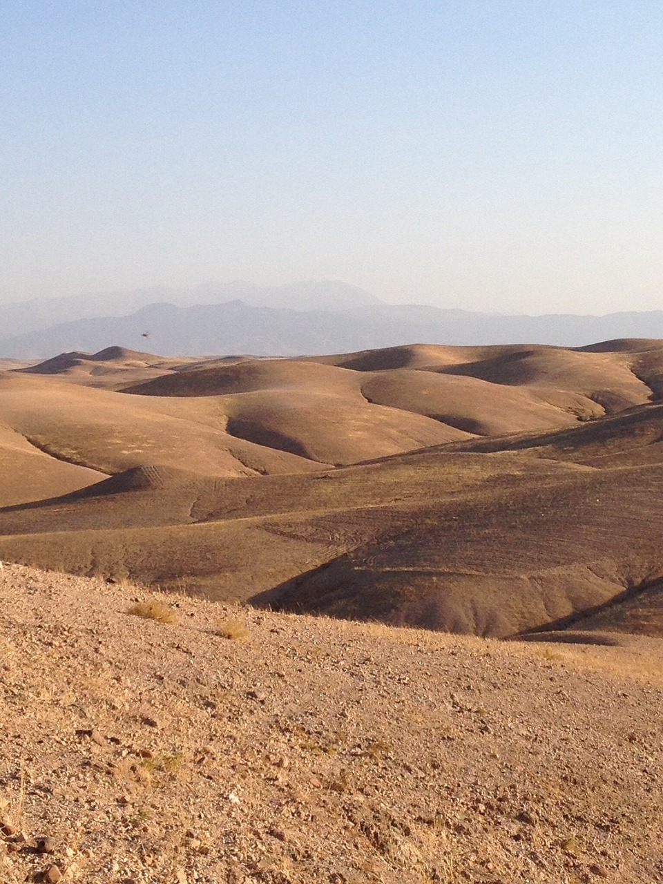 desert sand morocco free photo