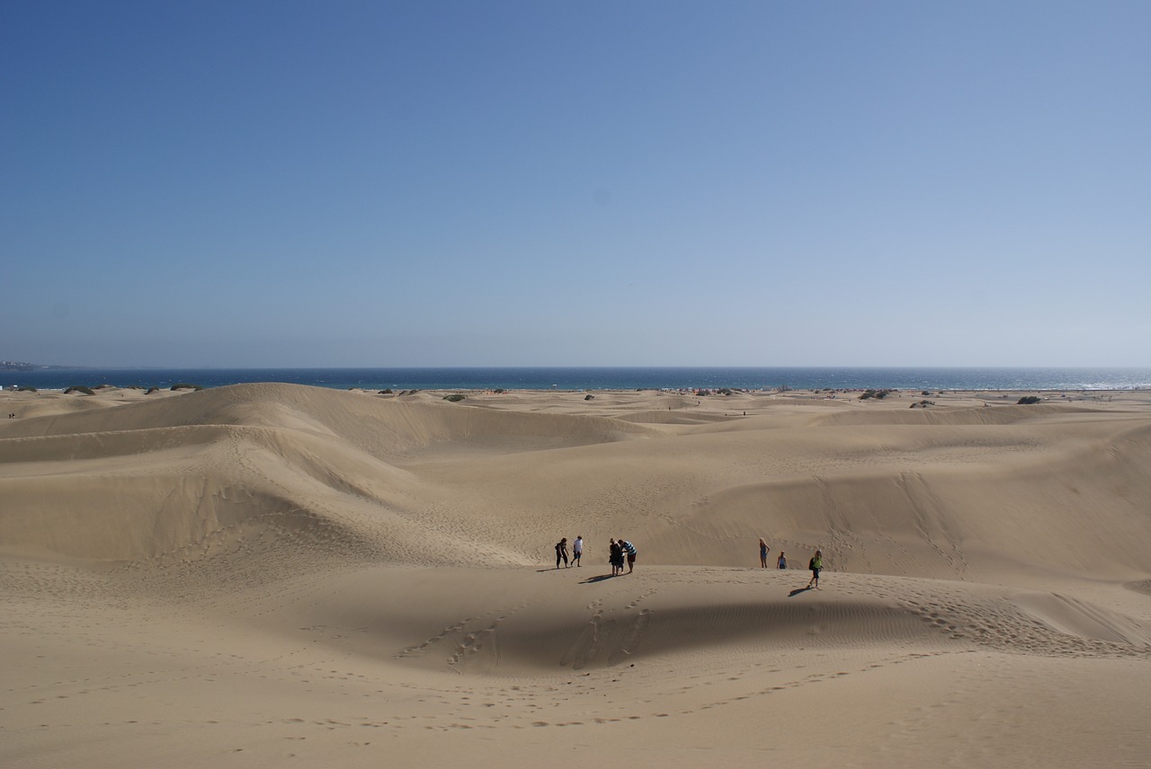 desert sand dune free photo