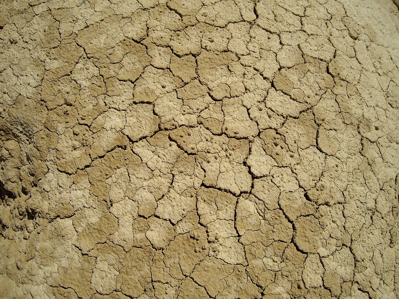 desert ground cracked drought free photo