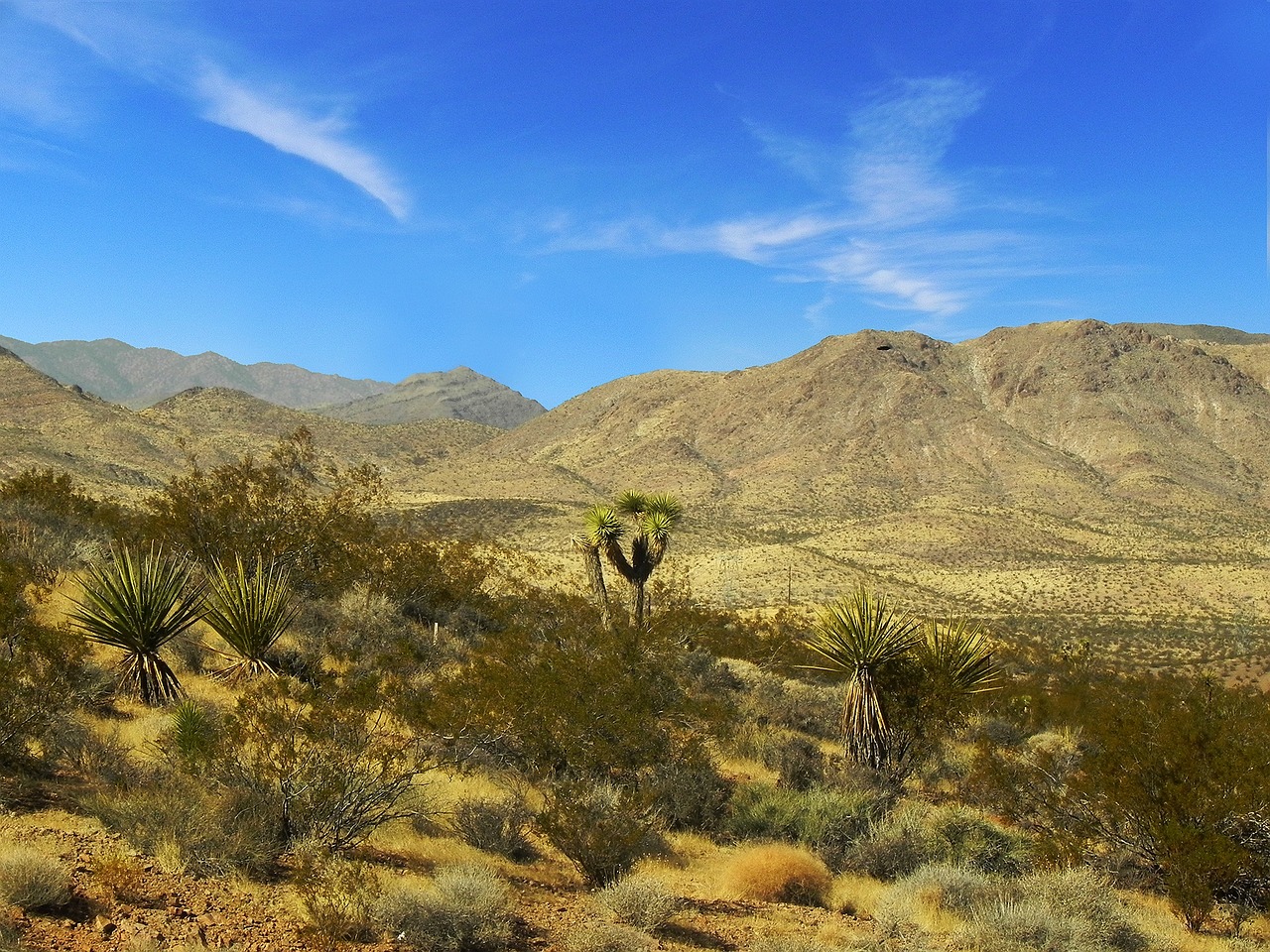 desert blue sky free photo