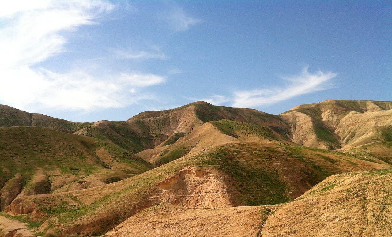 desert spring israel free photo