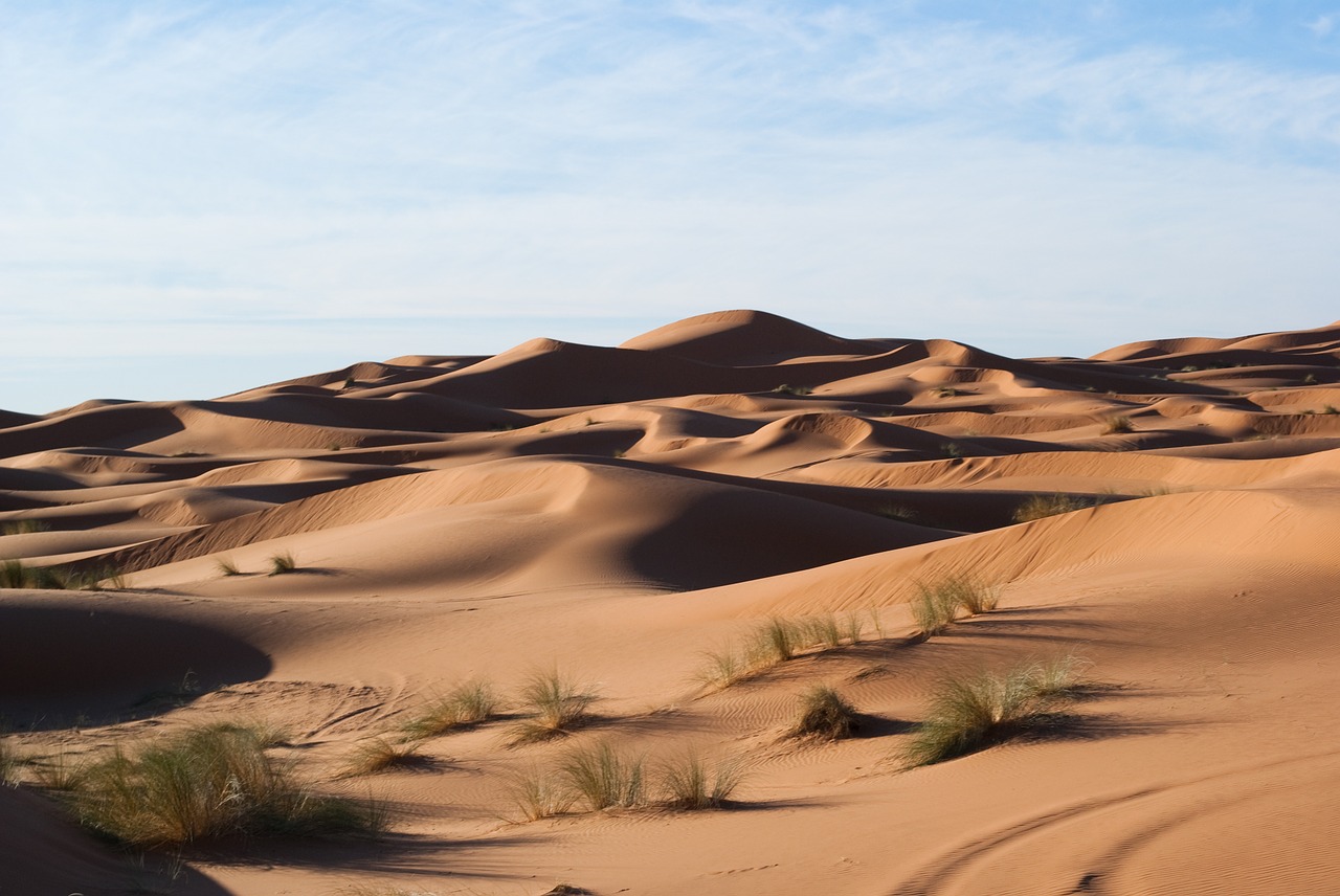 desert dunes sand free photo