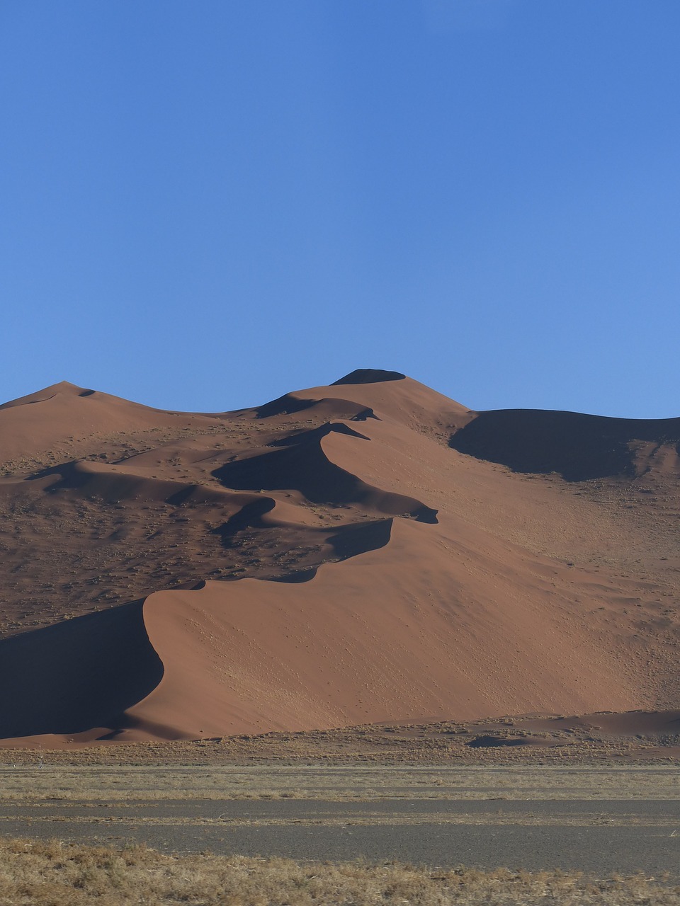 desert sussusvlie dunes free photo