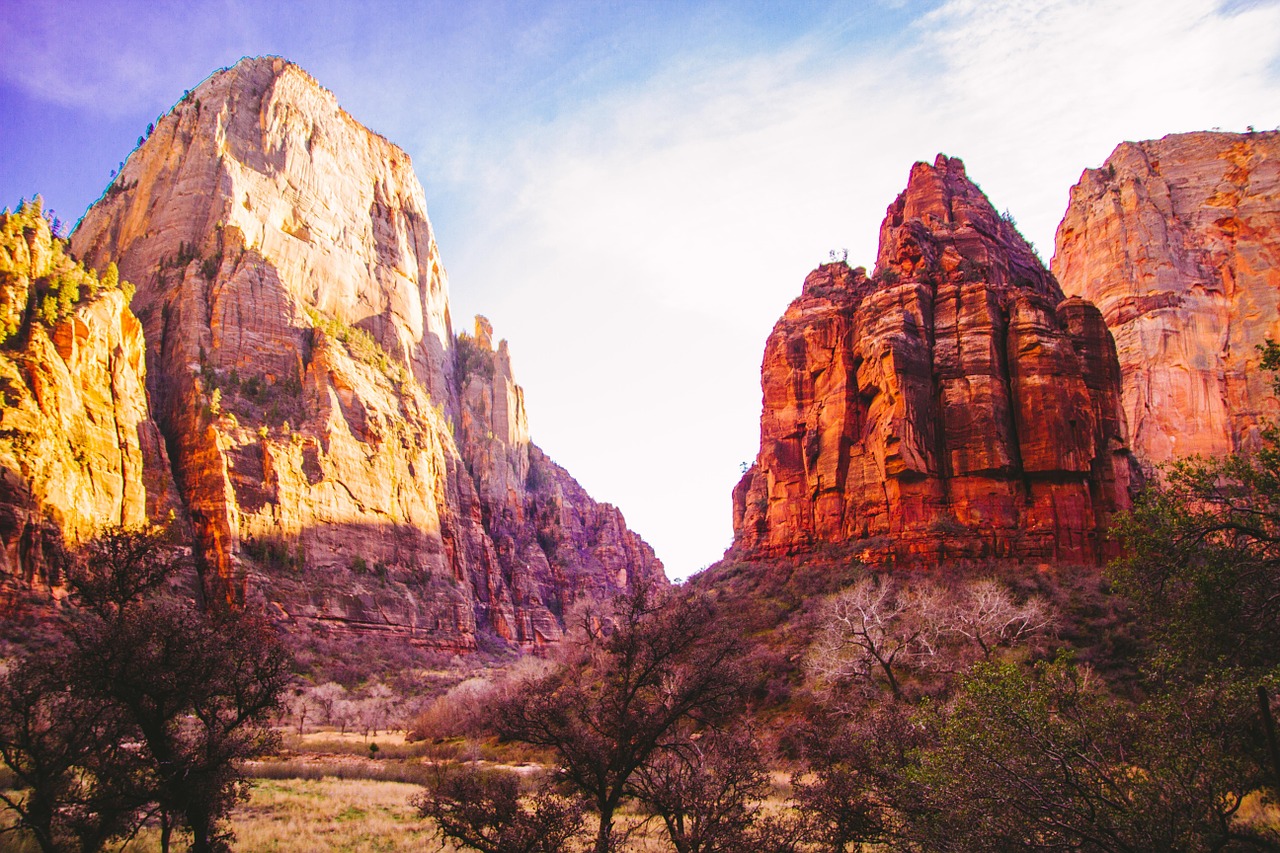 desert canyons trees free photo