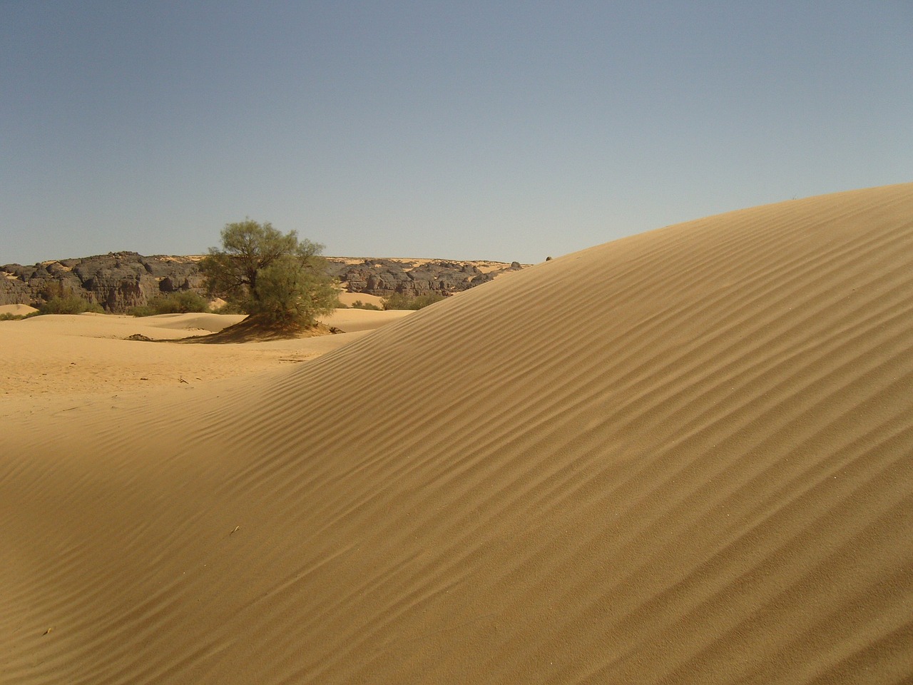 desert algeria sahara free photo