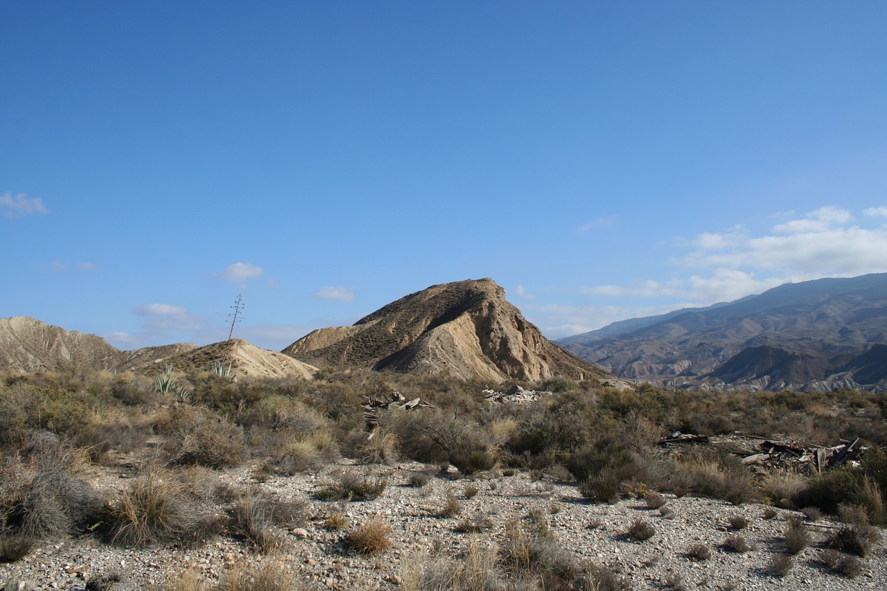 desert arid dry free photo