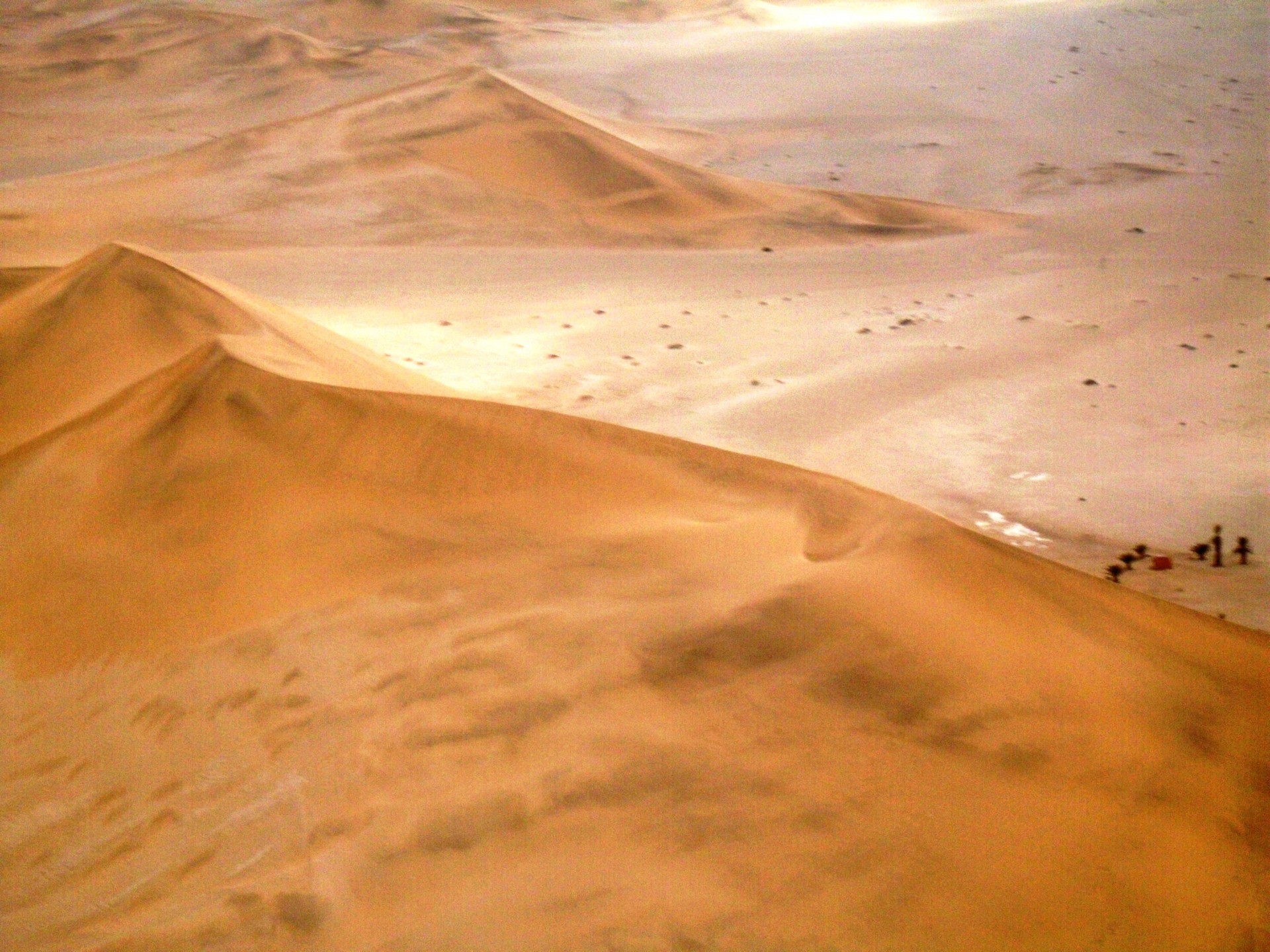 sand desert dune free photo