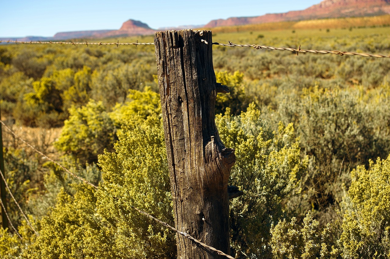 desert fence post  fence  barbed free photo