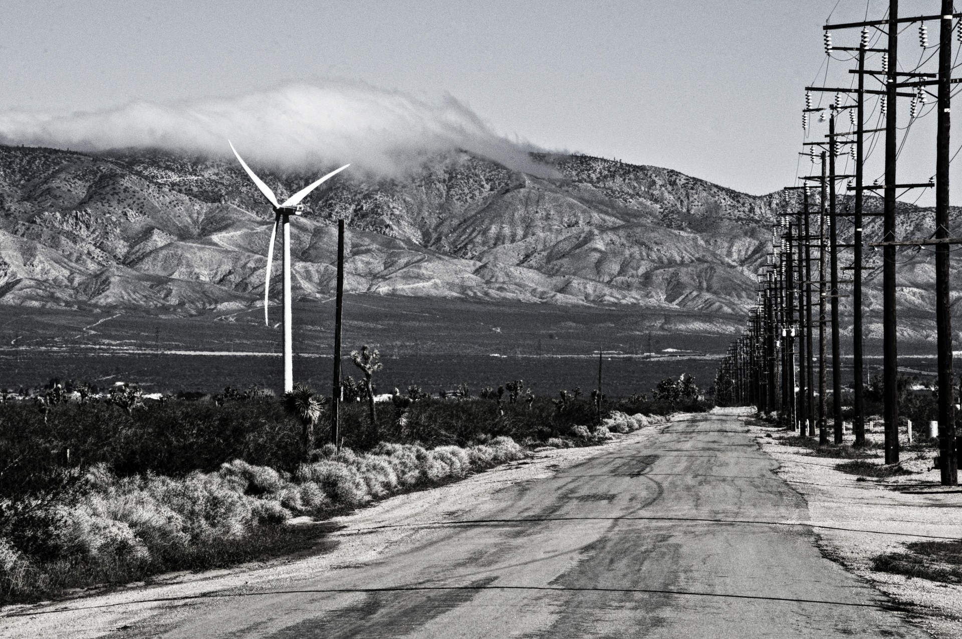 desert highway black white free photo