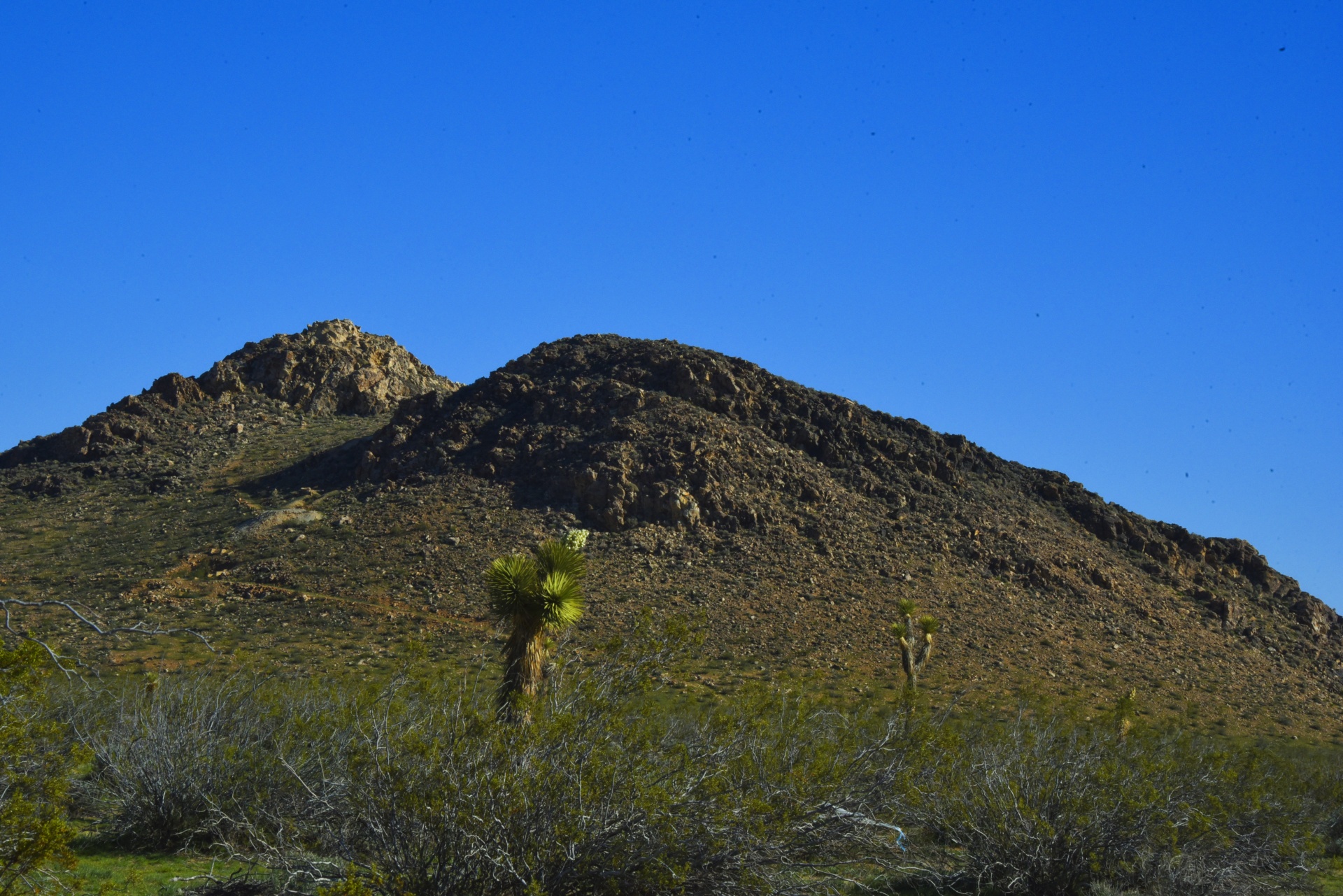 desert landscape sky free photo