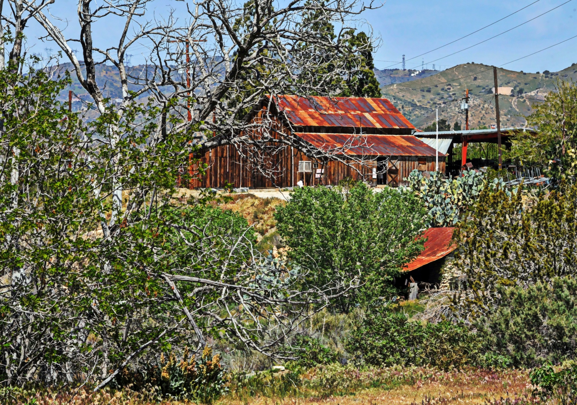 desert landscape home free photo